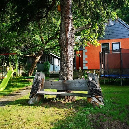 Ferienhaus Franz - An Der Elbe, Mit Grossem Garten Pirna Bagian luar foto