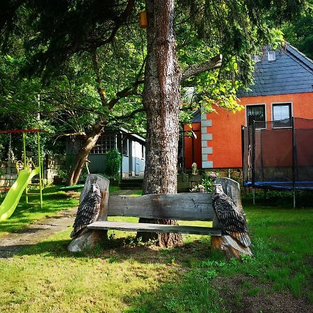 Ferienhaus Franz - An Der Elbe, Mit Grossem Garten Villa Pirna Bagian luar foto