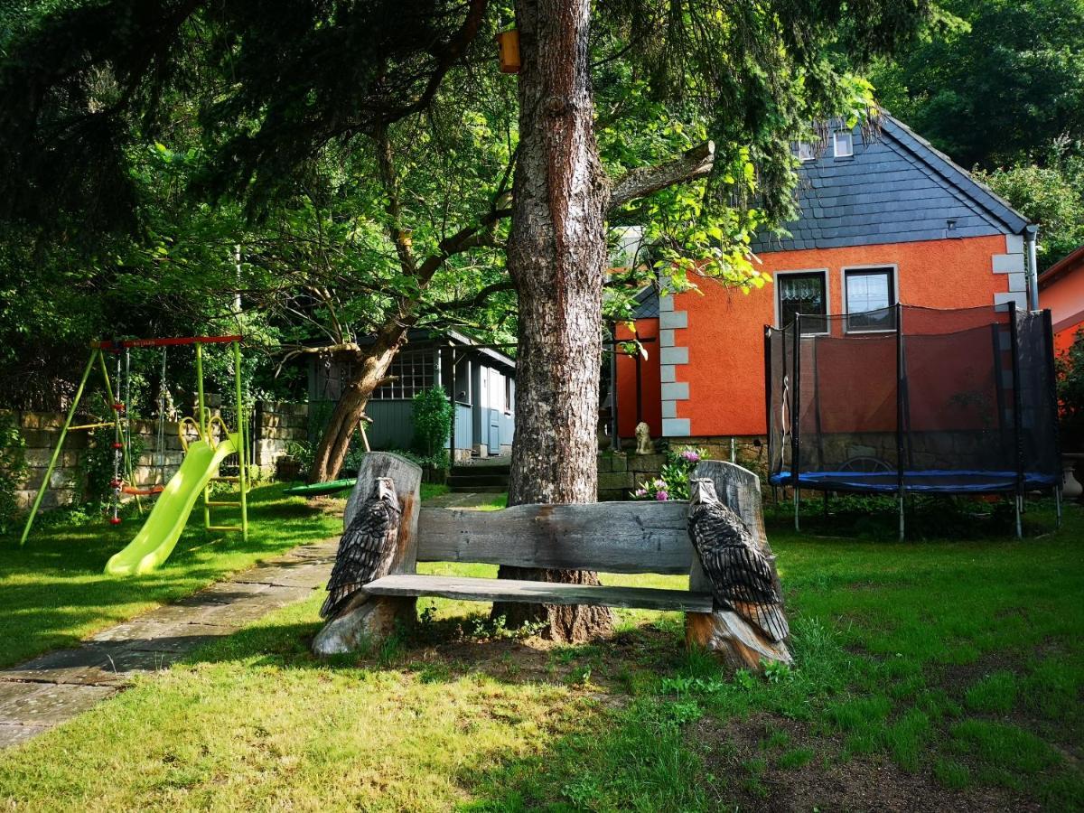 Ferienhaus Franz - An Der Elbe, Mit Grossem Garten Pirna Bagian luar foto