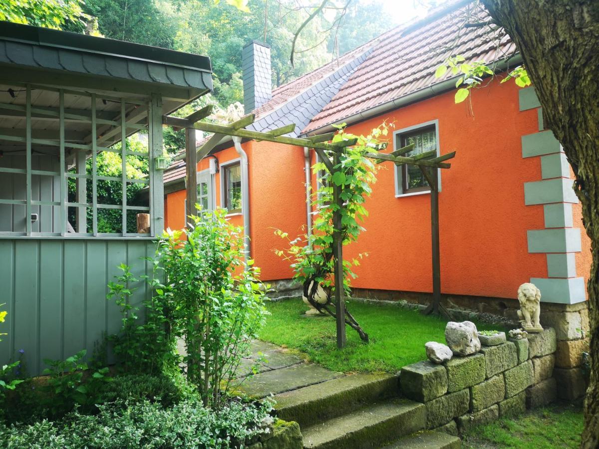 Ferienhaus Franz - An Der Elbe, Mit Grossem Garten Pirna Bagian luar foto