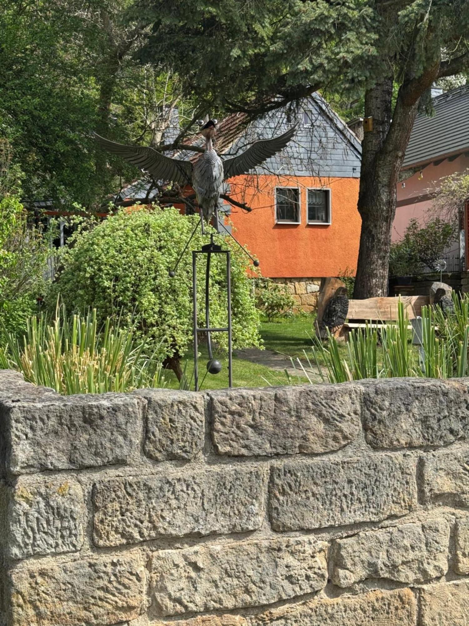 Ferienhaus Franz - An Der Elbe, Mit Grossem Garten Pirna Bagian luar foto