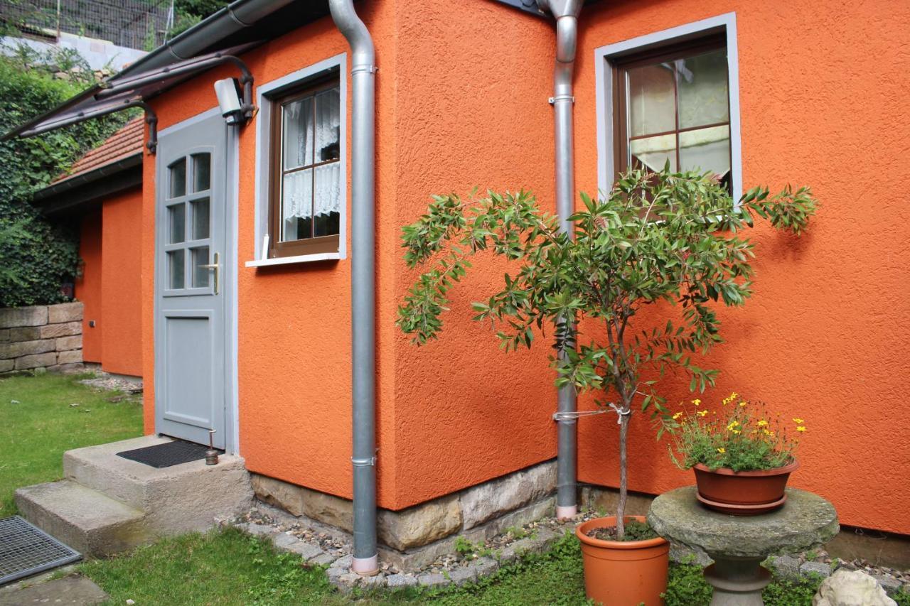Ferienhaus Franz - An Der Elbe, Mit Grossem Garten Pirna Bagian luar foto