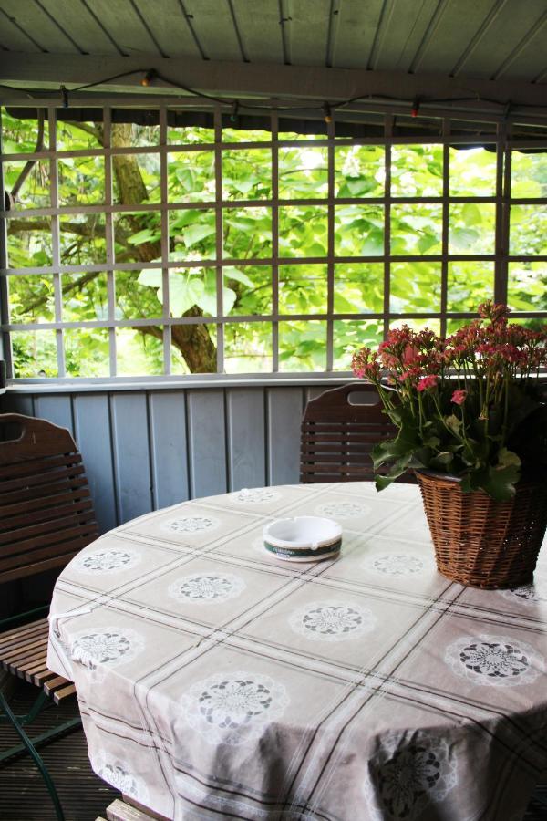 Ferienhaus Franz - An Der Elbe, Mit Grossem Garten Pirna Bagian luar foto